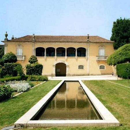 Casa das Vinhas Camélias de BastoTurismo Rural Celorico De Basto Exterior foto