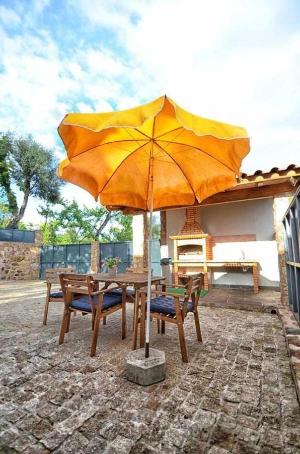 Casa das Vinhas Camélias de BastoTurismo Rural Celorico De Basto Exterior foto