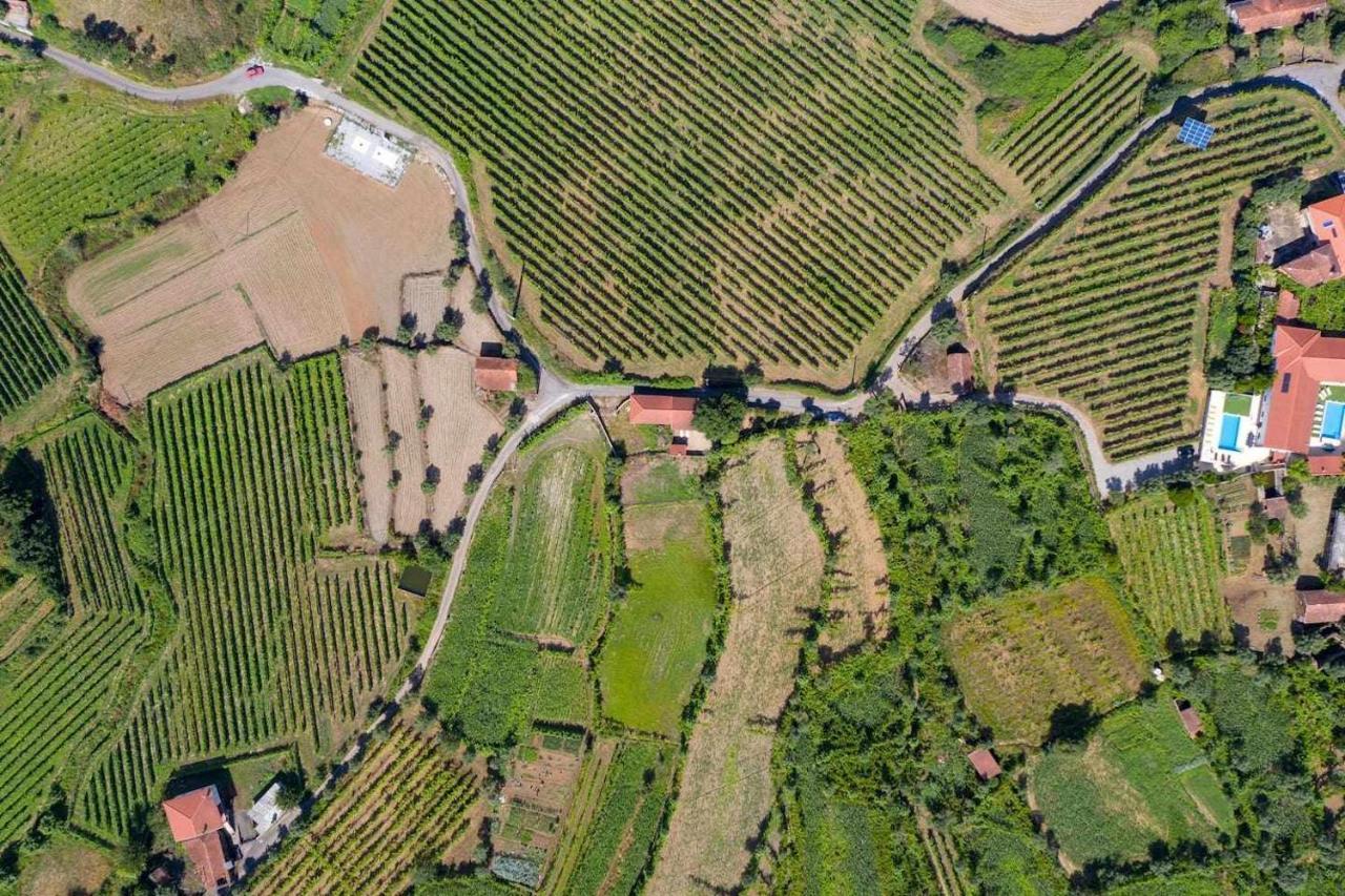 Casa das Vinhas Camélias de BastoTurismo Rural Celorico De Basto Exterior foto