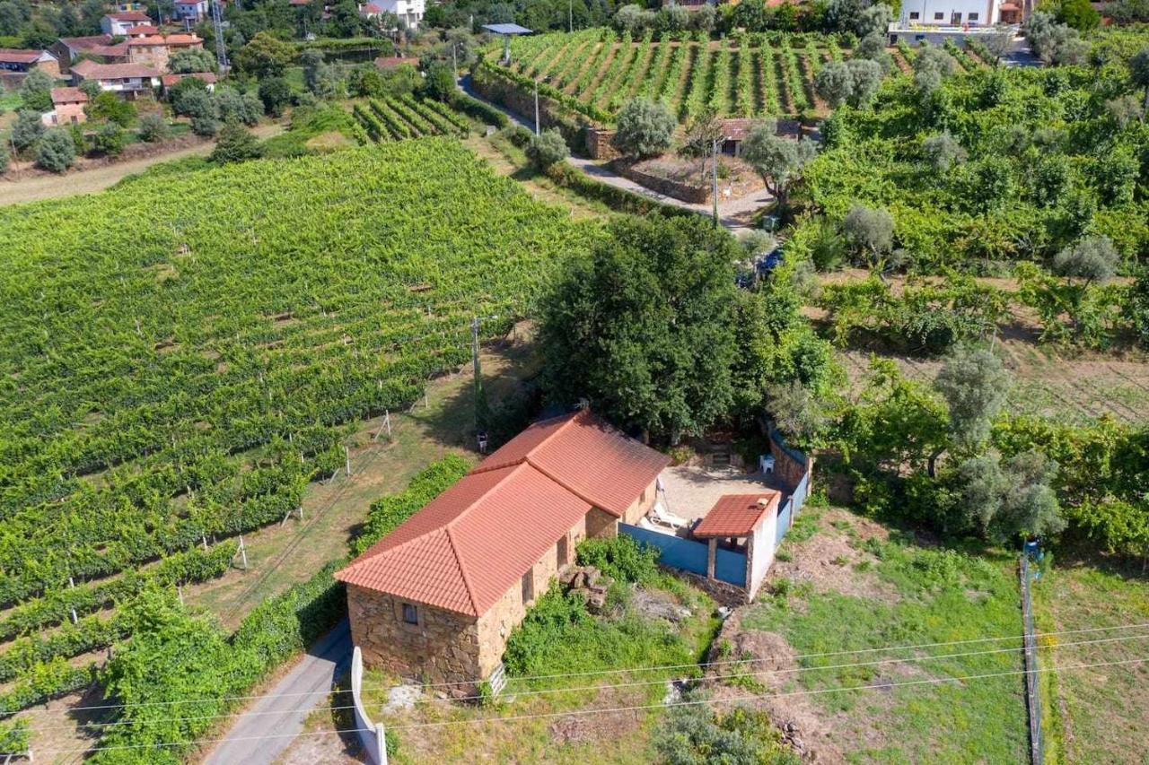 Casa das Vinhas Camélias de BastoTurismo Rural Celorico De Basto Exterior foto