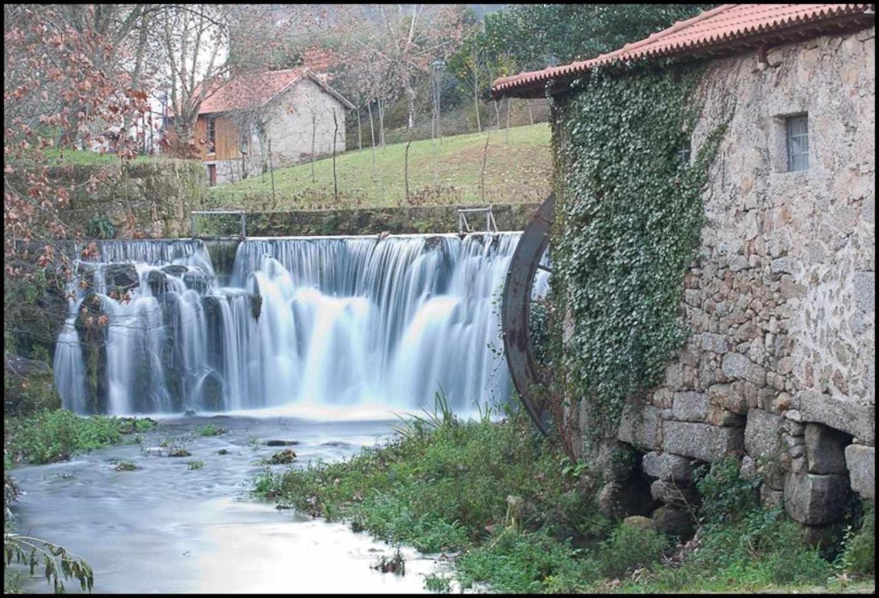 Casa das Vinhas Camélias de BastoTurismo Rural Celorico De Basto Exterior foto