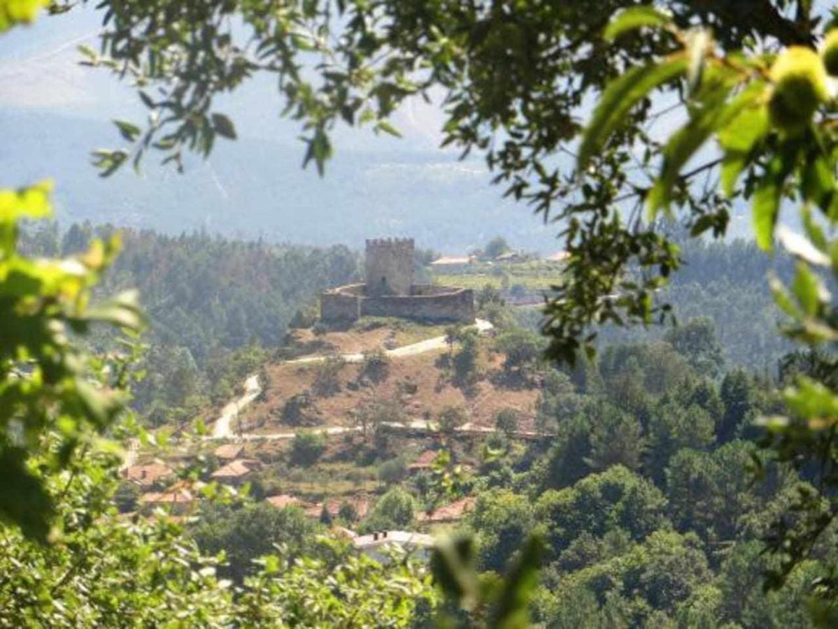 Casa das Vinhas Camélias de BastoTurismo Rural Celorico De Basto Exterior foto