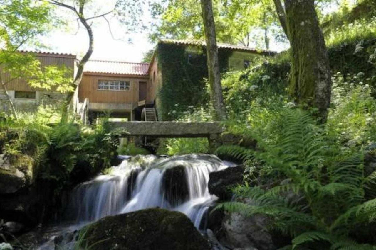 Casa das Vinhas Camélias de BastoTurismo Rural Celorico De Basto Exterior foto