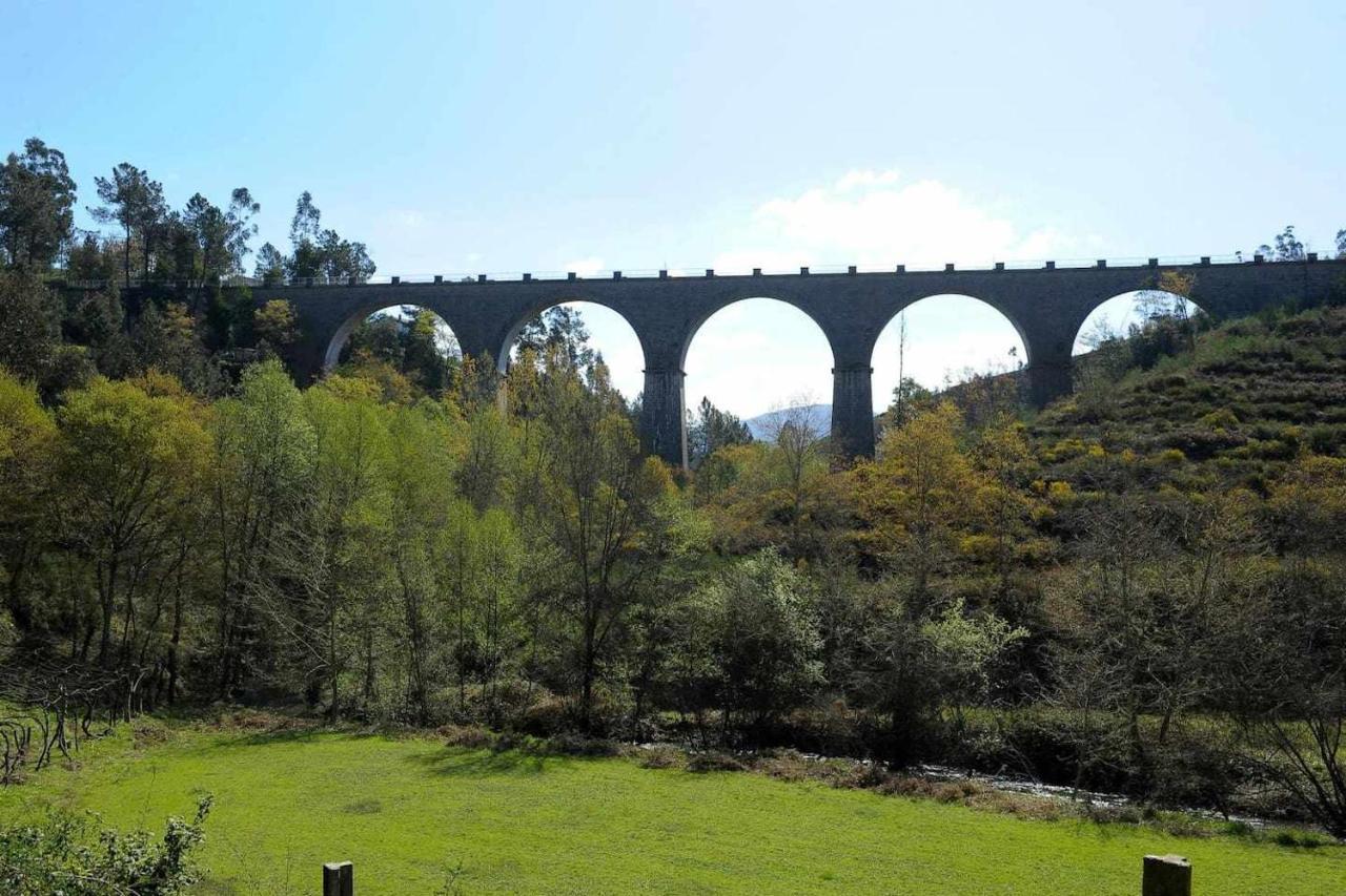 Casa das Vinhas Camélias de BastoTurismo Rural Celorico De Basto Exterior foto