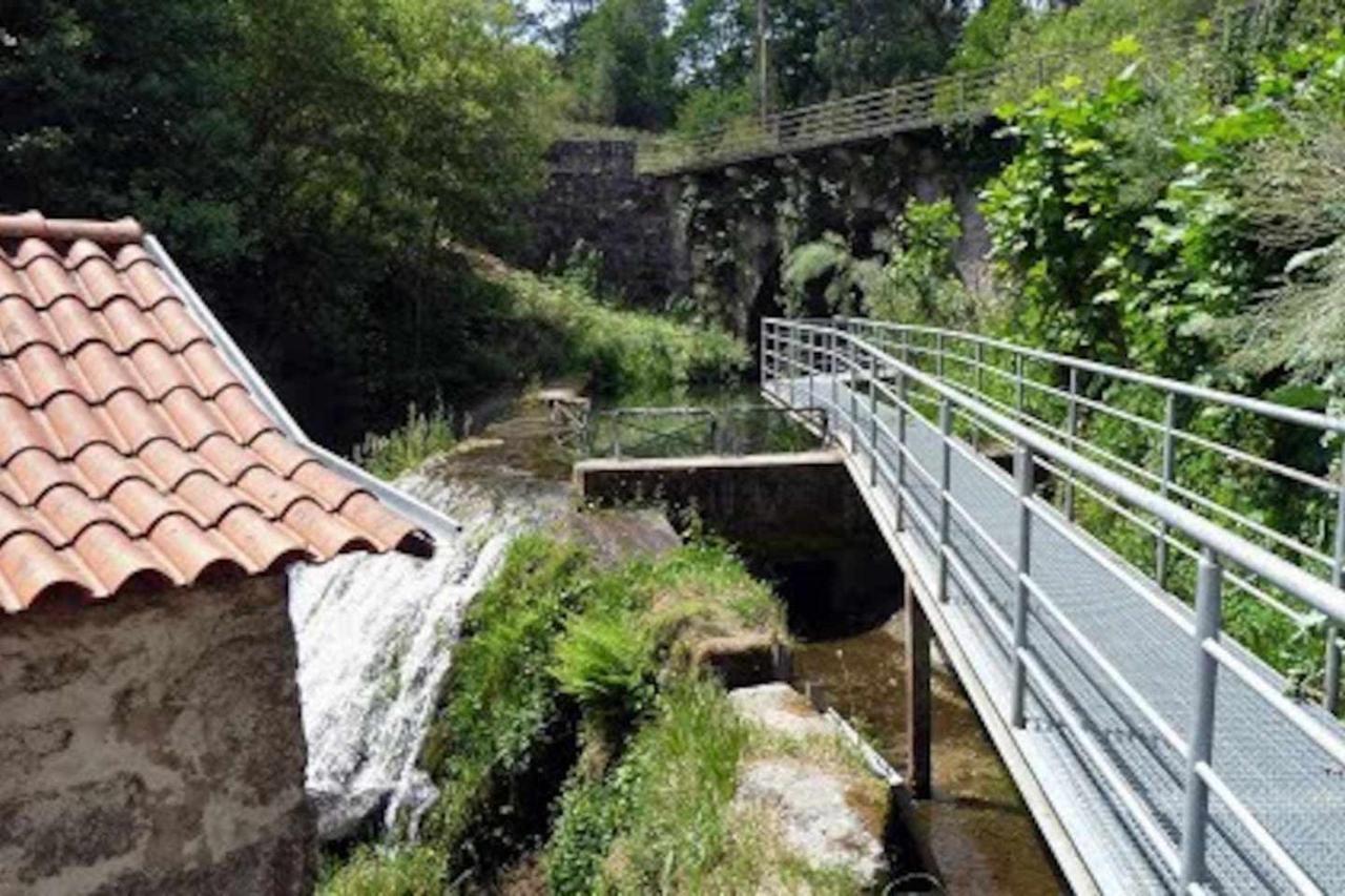 Casa das Vinhas Camélias de BastoTurismo Rural Celorico De Basto Exterior foto