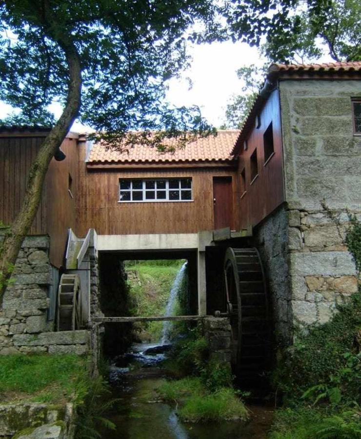 Casa das Vinhas Camélias de BastoTurismo Rural Celorico De Basto Exterior foto