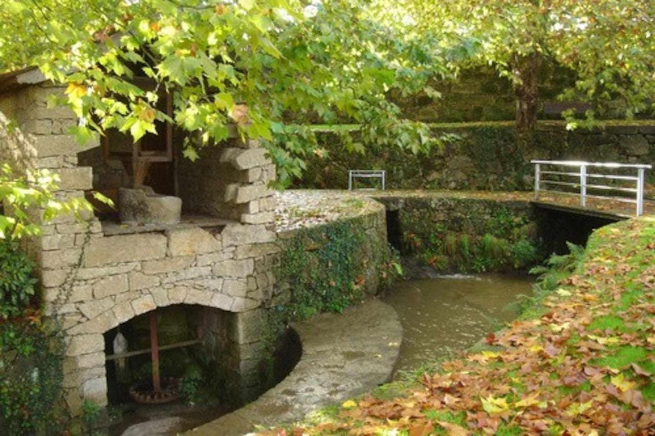 Casa das Vinhas Camélias de BastoTurismo Rural Celorico De Basto Exterior foto